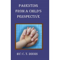 Parenting From A Childs Perspective Paperback